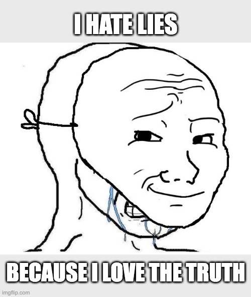 Crying inside | I HATE LIES; BECAUSE I LOVE THE TRUTH | image tagged in crying inside | made w/ Imgflip meme maker