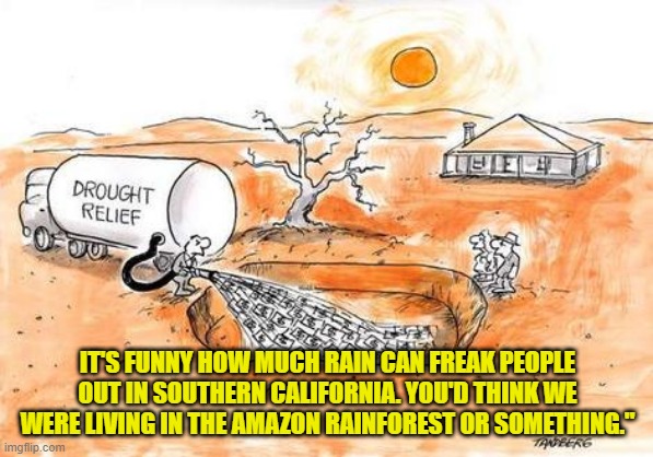 IT'S FUNNY HOW MUCH RAIN CAN FREAK PEOPLE OUT IN SOUTHERN CALIFORNIA. YOU'D THINK WE WERE LIVING IN THE AMAZON RAINFOREST OR SOMETHING." | made w/ Imgflip meme maker