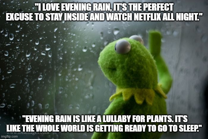 kermit window | "I LOVE EVENING RAIN, IT'S THE PERFECT EXCUSE TO STAY INSIDE AND WATCH NETFLIX ALL NIGHT."; "EVENING RAIN IS LIKE A LULLABY FOR PLANTS. IT'S LIKE THE WHOLE WORLD IS GETTING READY TO GO TO SLEEP." | image tagged in kermit window | made w/ Imgflip meme maker