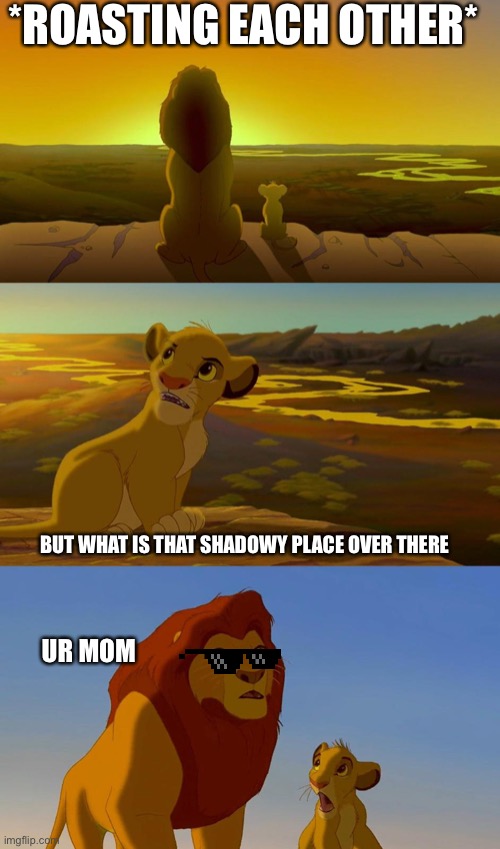 what about that shadowey place | *ROASTING EACH OTHER*; BUT WHAT IS THAT SHADOWY PLACE OVER THERE; UR MOM | image tagged in what about that shadowey place | made w/ Imgflip meme maker