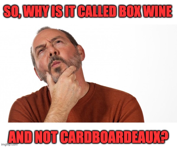 Wine | SO, WHY IS IT CALLED BOX WINE; AND NOT CARDBOARDEAUX? | image tagged in hmmm | made w/ Imgflip meme maker