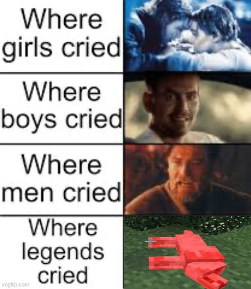 fr | image tagged in where legends cried | made w/ Imgflip meme maker