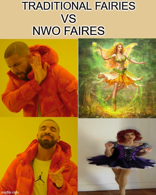 PROVE ME WRONG | TRADITIONAL FAIRIES; VS NWO FAIRES | image tagged in memes,drake hotline bling,democrats | made w/ Imgflip meme maker