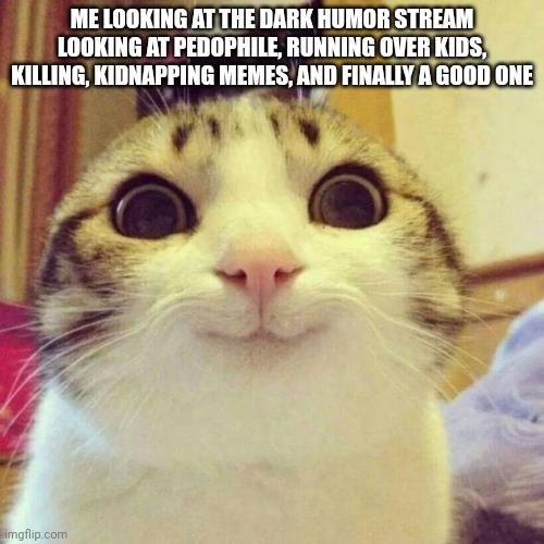 Fr | ME LOOKING AT THE DARK HUMOR STREAM LOOKING AT PEDOPHILE, RUNNING OVER KIDS, KILLING, KIDNAPPING MEMES, AND FINALLY A GOOD ONE | image tagged in memes,smiling cat | made w/ Imgflip meme maker