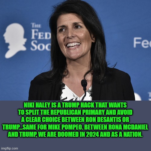 NIKI HALEY IS A TRUMP HACK THAT WANTS TO SPLIT THE REPUBLICAN PRIMARY AND AVOID A CLEAR CHOICE BETWEEN RON DESANTIS OR TRUMP...SAME FOR MIKE | made w/ Imgflip meme maker