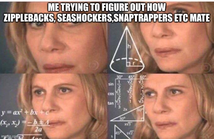 Zipplebacks | ME TRYING TO FIGURE OUT HOW ZIPPLEBACKS, SEASHOCKERS,SNAPTRAPPERS ETC MATE | image tagged in math lady/confused lady,how to train your dragon,httyd,dragons | made w/ Imgflip meme maker