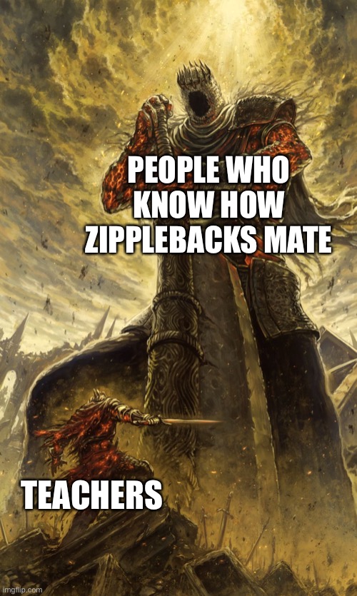 Zipplebacks | PEOPLE WHO KNOW HOW ZIPPLEBACKS MATE; TEACHERS | image tagged in yhorm dark souls,how to train your dragon,httyd,dragons | made w/ Imgflip meme maker