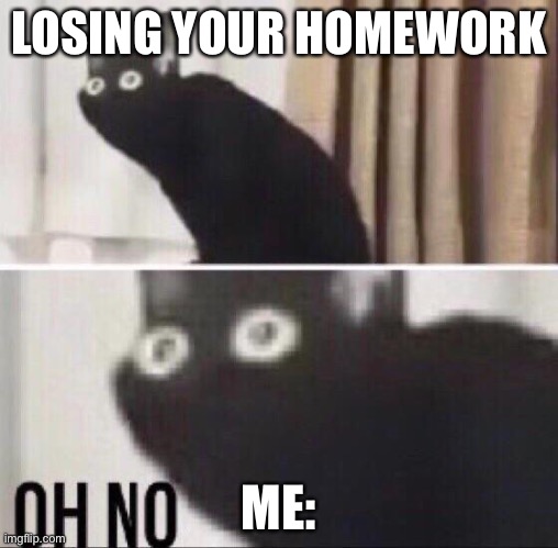 Happened anyone? | LOSING YOUR HOMEWORK; ME: | image tagged in oh no cat,memes,so true memes | made w/ Imgflip meme maker