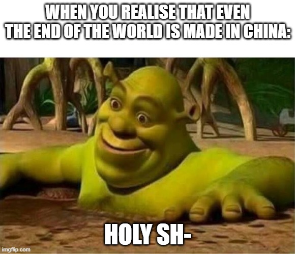 holy shi- | WHEN YOU REALISE THAT EVEN THE END OF THE WORLD IS MADE IN CHINA:; HOLY SH- | image tagged in shrek,nice,true,holy shit | made w/ Imgflip meme maker