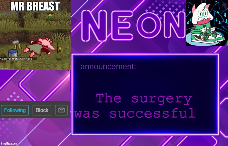 Balls | The surgery was successful | image tagged in balls | made w/ Imgflip meme maker