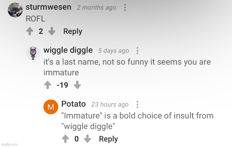 This was about somebody else’s funny name and somebody got offended ?? | image tagged in wiggle,funny memes | made w/ Imgflip meme maker