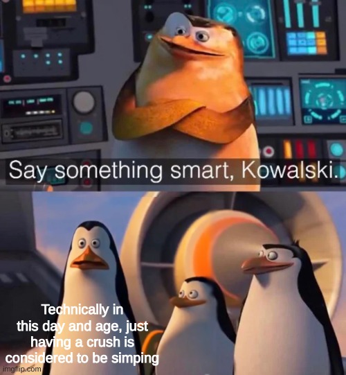 Say something smart Kowalski | Technically in this day and age, just having a crush is considered to be simping | image tagged in say something smart kowalski | made w/ Imgflip meme maker