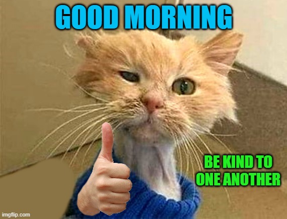 thumb cat | GOOD MORNING; BE KIND TO ONE ANOTHER | image tagged in thumb cat | made w/ Imgflip meme maker