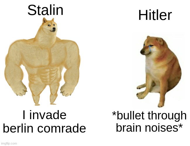Buff Doge vs. Cheems | Stalin; Hitler; I invade berlin comrade; *bullet through brain noises* | image tagged in memes,buff doge vs cheems | made w/ Imgflip meme maker