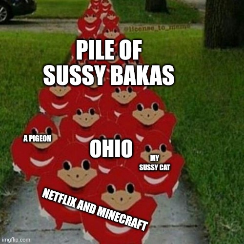 My army | PILE OF SUSSY BAKAS; A PIGEON; OHIO; MY SUSSY CAT; NETFLIX AND MINECRAFT | image tagged in ugandan knuckles army,is this a pigeon,netflix,minecraft,cats | made w/ Imgflip meme maker