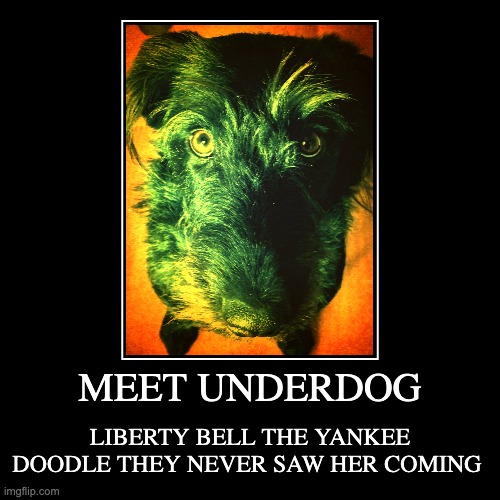 UNDERDOG LIBERTY BELL THE YANKEE DOODLE THEY NEVER SAW HER COMING | image tagged in funny,demotivationals | made w/ Imgflip demotivational maker