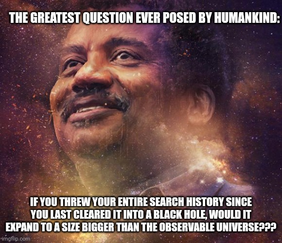 When you realize you have so much search history that if you threw it into a black hole it would expand to bigger than the unive | THE GREATEST QUESTION EVER POSED BY HUMANKIND:; IF YOU THREW YOUR ENTIRE SEARCH HISTORY SINCE YOU LAST CLEARED IT INTO A BLACK HOLE, WOULD IT EXPAND TO A SIZE BIGGER THAN THE OBSERVABLE UNIVERSE??? | image tagged in neil degrasse tyson | made w/ Imgflip meme maker