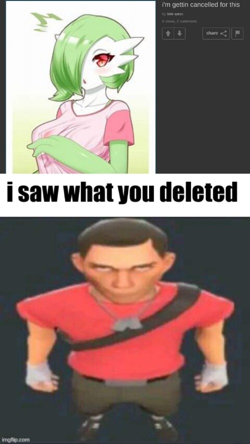 I saw it. | image tagged in i saw what you deleted scout | made w/ Imgflip meme maker