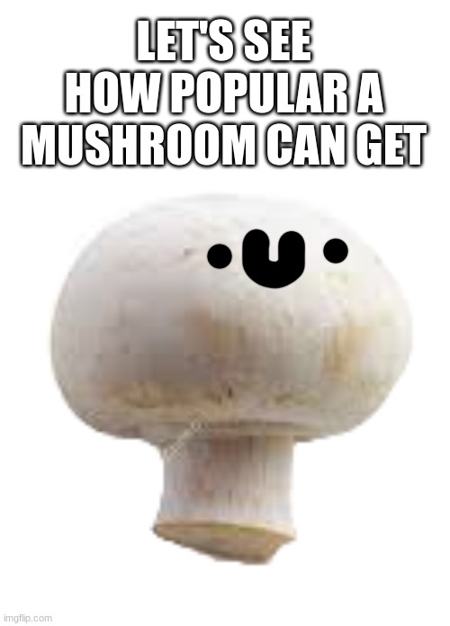 LET'S SEE HOW POPULAR A MUSHROOM CAN GET | image tagged in mushroom | made w/ Imgflip meme maker