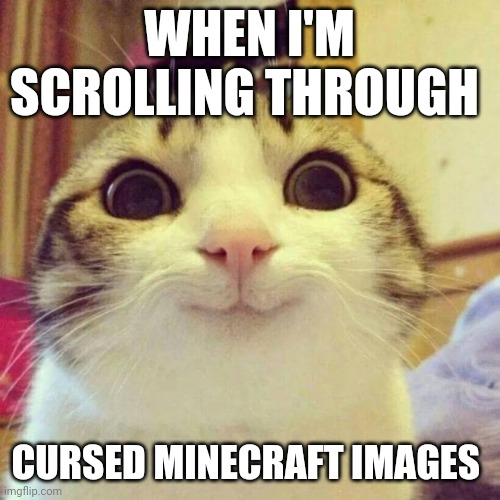 Just scrollin through cursed Minecraft images | WHEN I'M SCROLLING THROUGH; CURSED MINECRAFT IMAGES | image tagged in memes,smiling cat | made w/ Imgflip meme maker