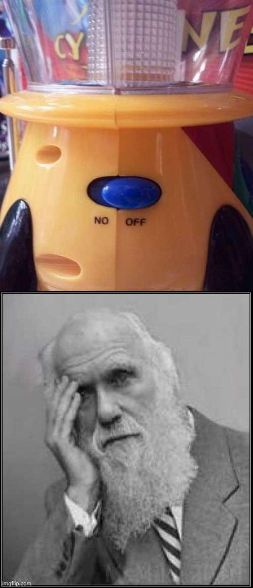 "No" | image tagged in darwin facepalm,no,you had one job,switch,memes,spelling error | made w/ Imgflip meme maker