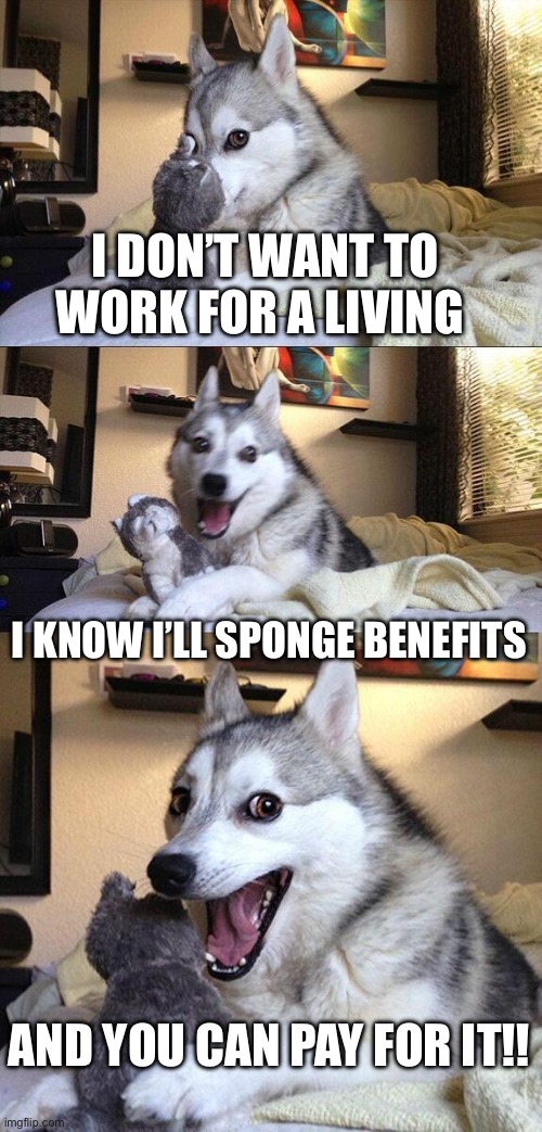 Benefits | I DON’T WANT TO WORK FOR A LIVING; I KNOW I’LL SPONGE BENEFITS; AND YOU CAN PAY FOR IT!! | image tagged in memes,bad pun dog | made w/ Imgflip meme maker