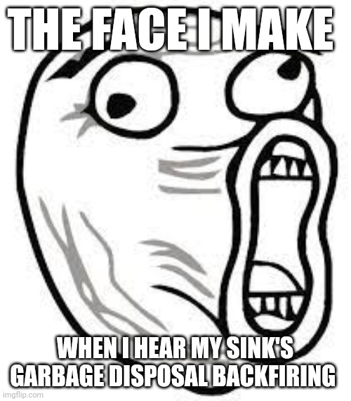 Backfiring garbage disposal | THE FACE I MAKE; WHEN I HEAR MY SINK'S GARBAGE DISPOSAL BACKFIRING | image tagged in screaming face | made w/ Imgflip meme maker