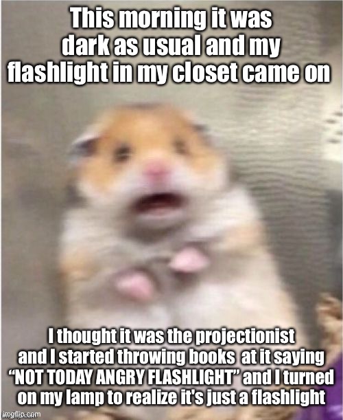 Almost fell out of bed | This morning it was dark as usual and my flashlight in my closet came on; I thought it was the projectionist and I started throwing books  at it saying “NOT TODAY ANGRY FLASHLIGHT” and I turned on my lamp to realize it's just a flashlight | image tagged in scared hamster | made w/ Imgflip meme maker