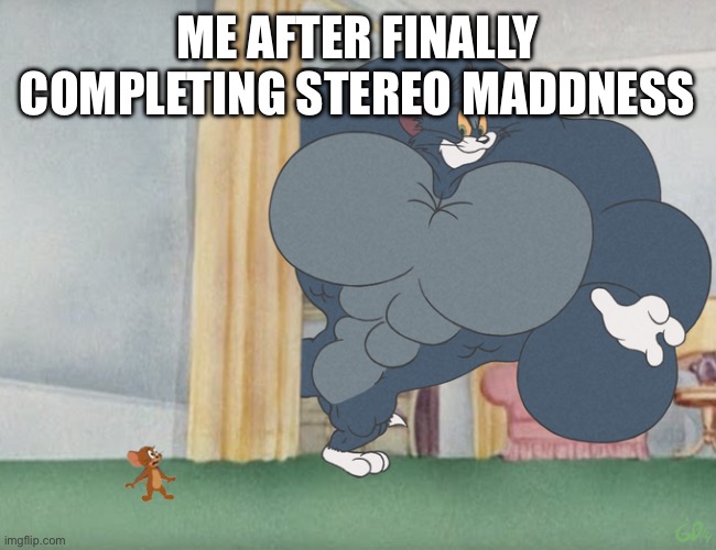 Buff Tom and Jerry Meme Template | ME AFTER FINALLY COMPLETING STEREO MADNESS | image tagged in buff tom and jerry meme template | made w/ Imgflip meme maker