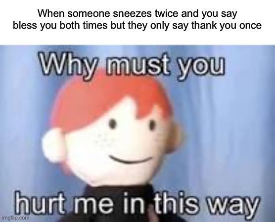 I made the text way too long | When someone sneezes twice and you say bless you both times but they only say thank you once | image tagged in why must you hurt me in this way | made w/ Imgflip meme maker