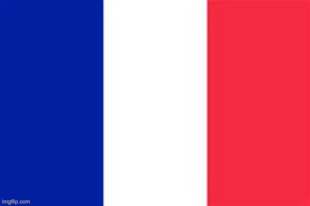 france flag | image tagged in france flag | made w/ Imgflip meme maker