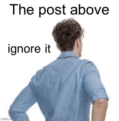 ignored | The post above; it | image tagged in ignored | made w/ Imgflip meme maker