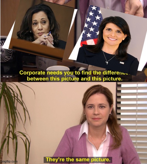 Kamala and Nikki | image tagged in memes,they're the same picture | made w/ Imgflip meme maker