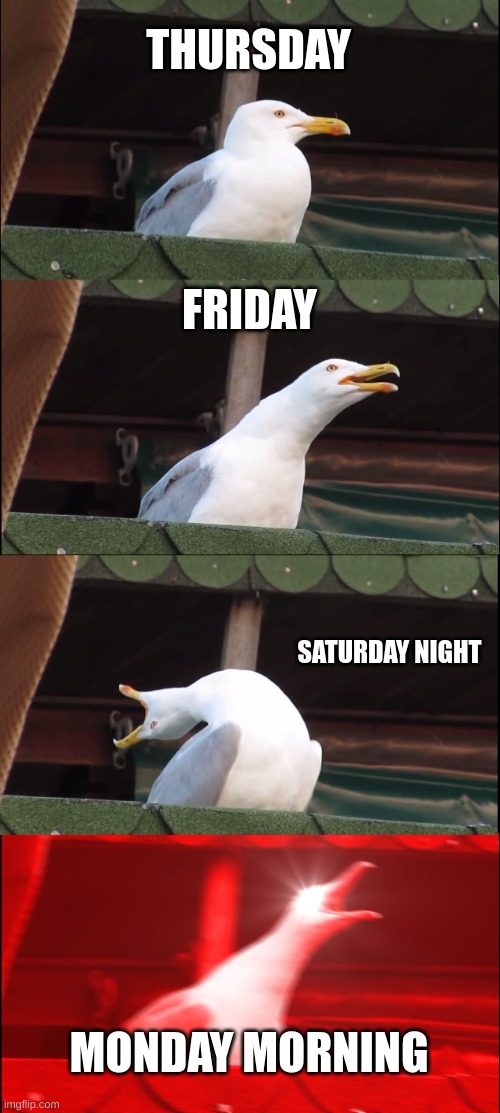 Inhaling Seagull | THURSDAY; FRIDAY; SATURDAY NIGHT; MONDAY MORNING | image tagged in memes,inhaling seagull | made w/ Imgflip meme maker