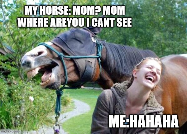 Laughing Horse | MY HORSE: MOM? MOM WHERE AREYOU I CANT SEE; ME:HAHAHA | image tagged in laughing horse | made w/ Imgflip meme maker