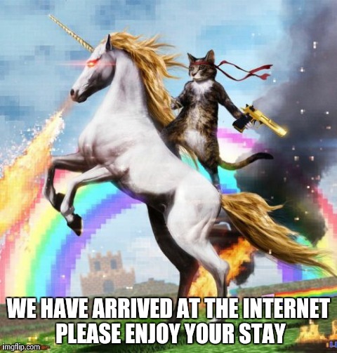 Welcome To The Internets | WE HAVE ARRIVED AT THE INTERNET PLEASE ENJOY YOUR STAY | image tagged in memes,welcome to the internets | made w/ Imgflip meme maker