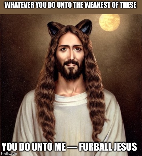 Blessed are the persecuted | WHATEVER YOU DO UNTO THE WEAKEST OF THESE; YOU DO UNTO ME — FURBALL JESUS | image tagged in furries | made w/ Imgflip meme maker