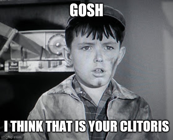 Beaver Cleaver  | GOSH I THINK THAT IS YOUR CLITORIS | image tagged in beaver cleaver | made w/ Imgflip meme maker