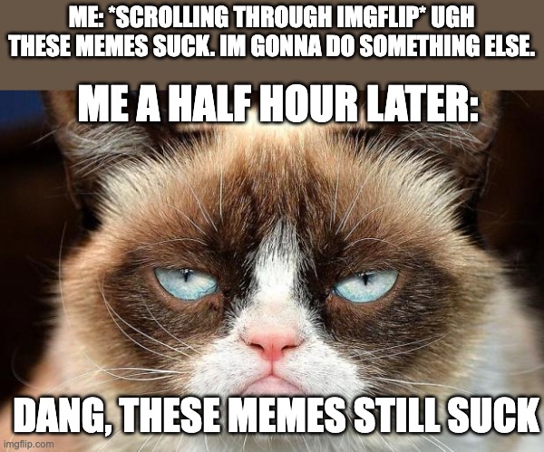 why cant i stop!?!?!?! | ME: *SCROLLING THROUGH IMGFLIP* UGH THESE MEMES SUCK. IM GONNA DO SOMETHING ELSE. ME A HALF HOUR LATER:; DANG, THESE MEMES STILL SUCK | image tagged in memes,grumpy cat not amused,grumpy cat,imgflip,funny memes | made w/ Imgflip meme maker