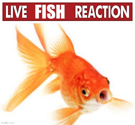 FISH | image tagged in live x reaction | made w/ Imgflip meme maker