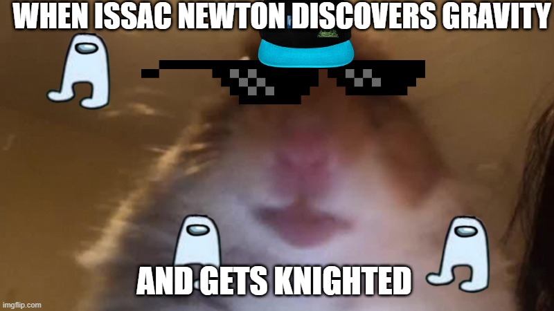 mememmemmememem | WHEN ISSAC NEWTON DISCOVERS GRAVITY; AND GETS KNIGHTED | image tagged in hampter stare | made w/ Imgflip meme maker