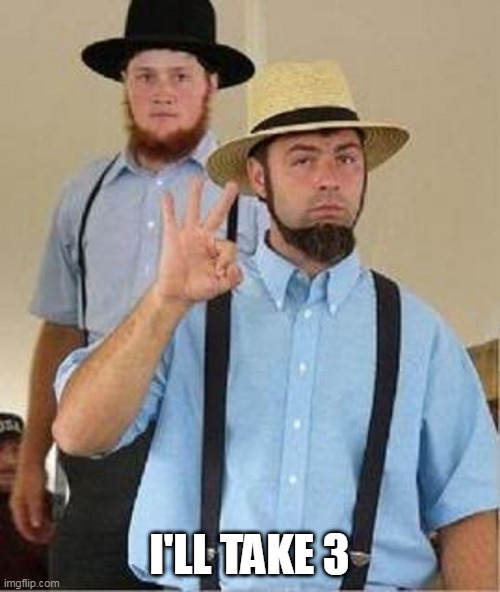 Amish Approved | I'LL TAKE 3 | image tagged in amish approved | made w/ Imgflip meme maker