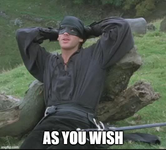 As you wish | AS YOU WISH | image tagged in as you wish | made w/ Imgflip meme maker