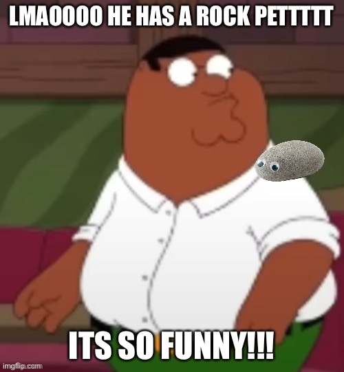 o | LMAOOOO HE HAS A ROCK PETTTTT; ITS SO FUNNY!!! | made w/ Imgflip meme maker