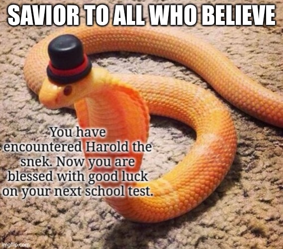 Have a good day | SAVIOR TO ALL WHO BELIEVE | image tagged in snek,good day | made w/ Imgflip meme maker