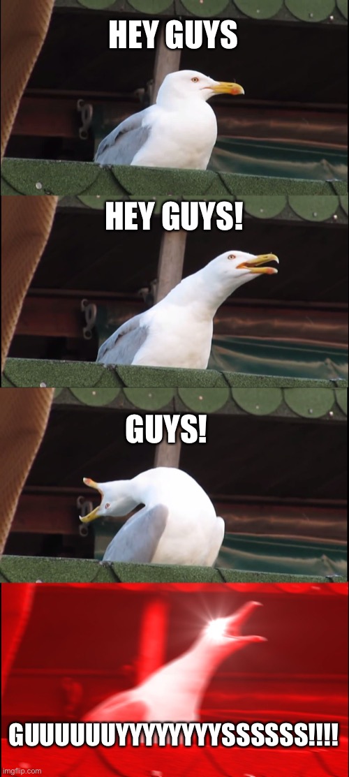 Inhaling Seagull Meme | HEY GUYS; HEY GUYS! GUYS! GUUUUUUYYYYYYYYSSSSSS!!!! | image tagged in memes,inhaling seagull | made w/ Imgflip meme maker