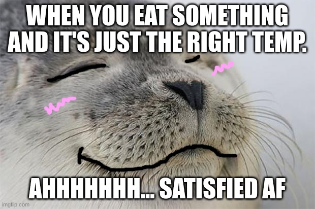 Satisfied Seal | WHEN YOU EAT SOMETHING AND IT'S JUST THE RIGHT TEMP. AHHHHHHH... SATISFIED AF | image tagged in memes,satisfied seal | made w/ Imgflip meme maker