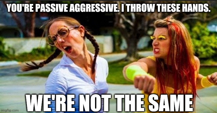 Women fighting | YOU'RE PASSIVE AGGRESSIVE. I THROW THESE HANDS. WE'RE NOT THE SAME | image tagged in women fighting | made w/ Imgflip meme maker