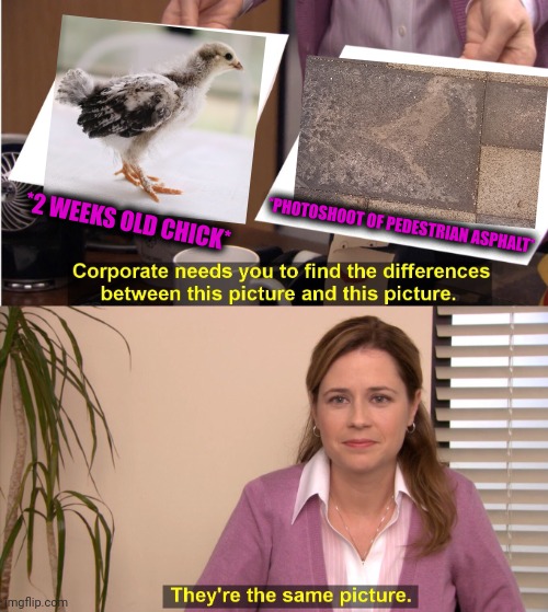 -Over the walk for the fruits. | *2 WEEKS OLD CHICK*; *PHOTOSHOOT OF PEDESTRIAN ASPHALT* | image tagged in memes,they're the same picture,anti joke chicken,funny road signs,illusion 100,funny animals | made w/ Imgflip meme maker