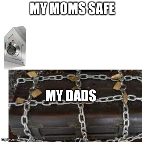 MY MOMS SAFE; MY DADS | image tagged in safety | made w/ Imgflip meme maker